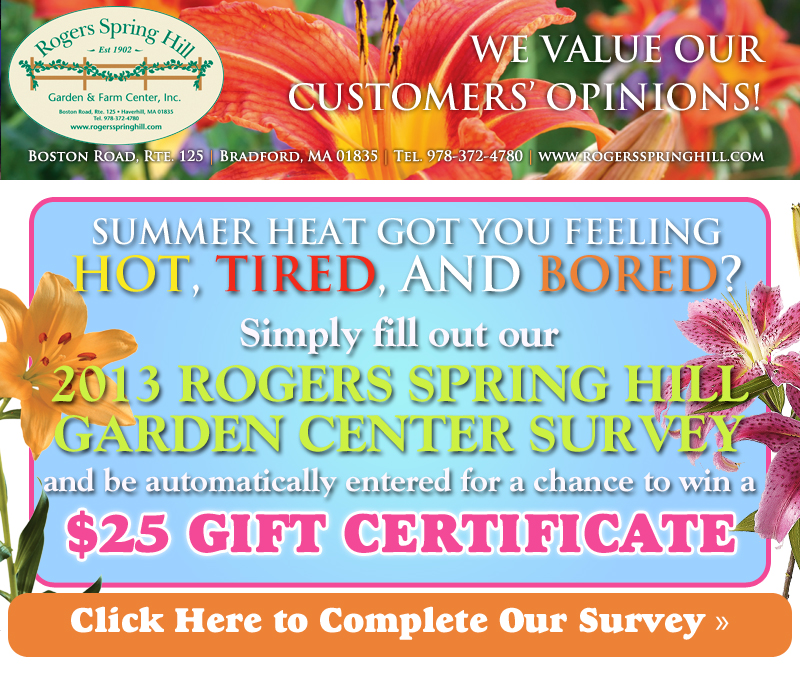 Featured Image: Take Our Survey!