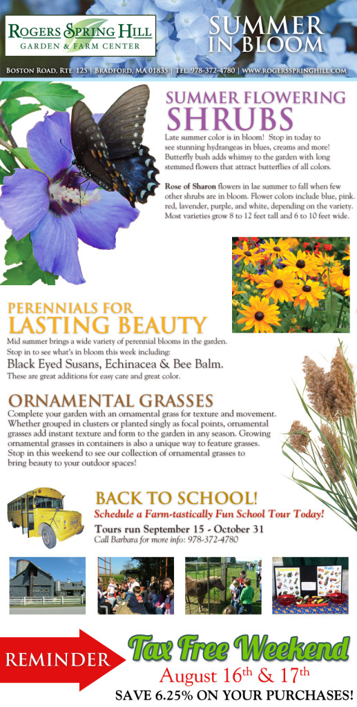 Featured Image: News From Rogers 08-08-2014