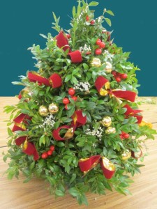 boxwood