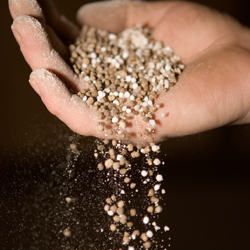 Featured Image: The N-P-K of Fertilizer