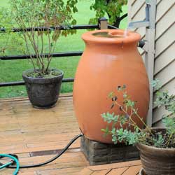 Featured Image: Rain Barrels