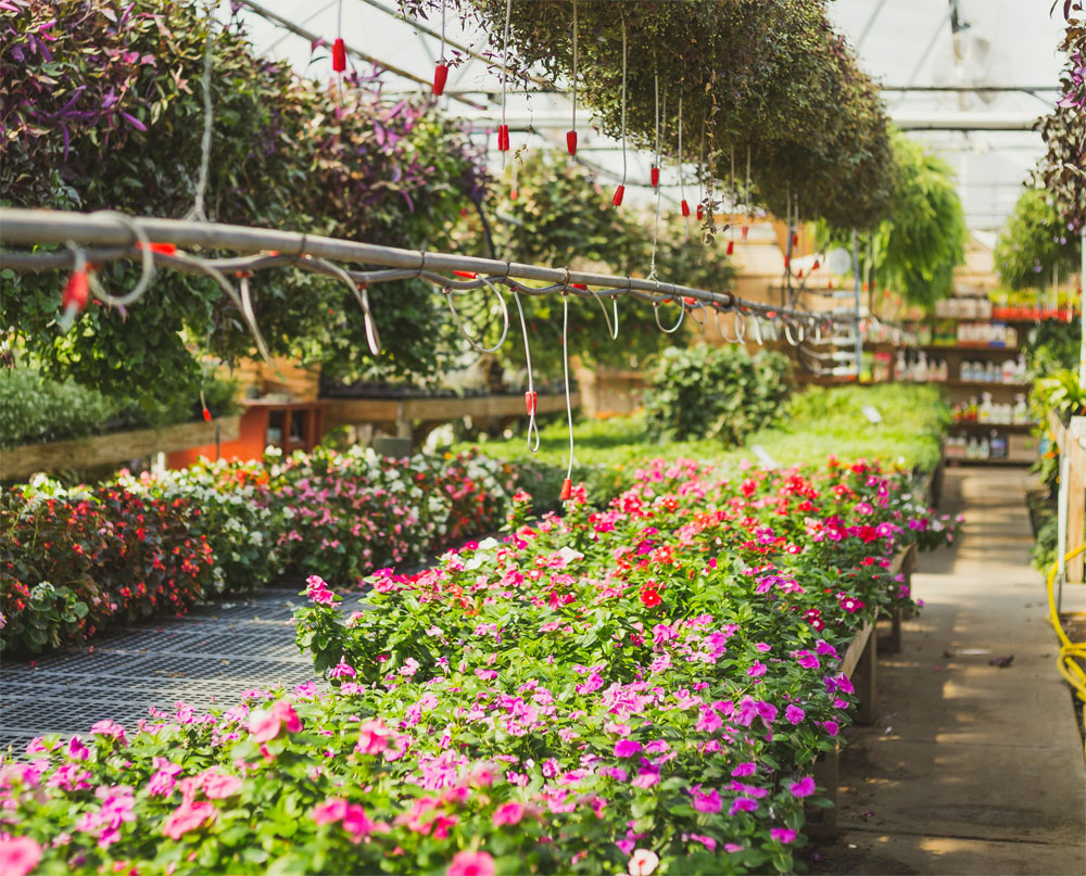 Jobs Openings Rogers Spring Hill Garden Center