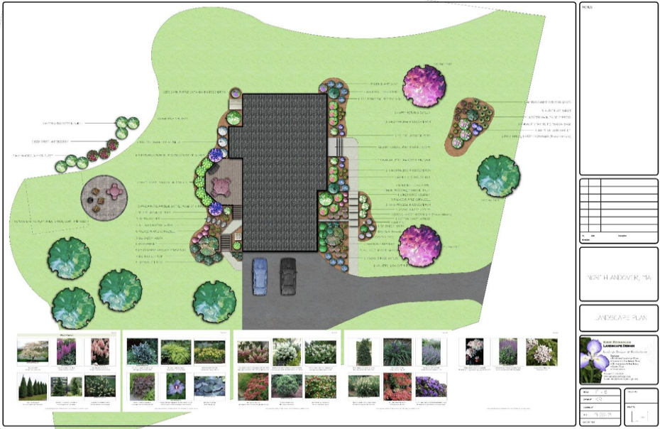section image 