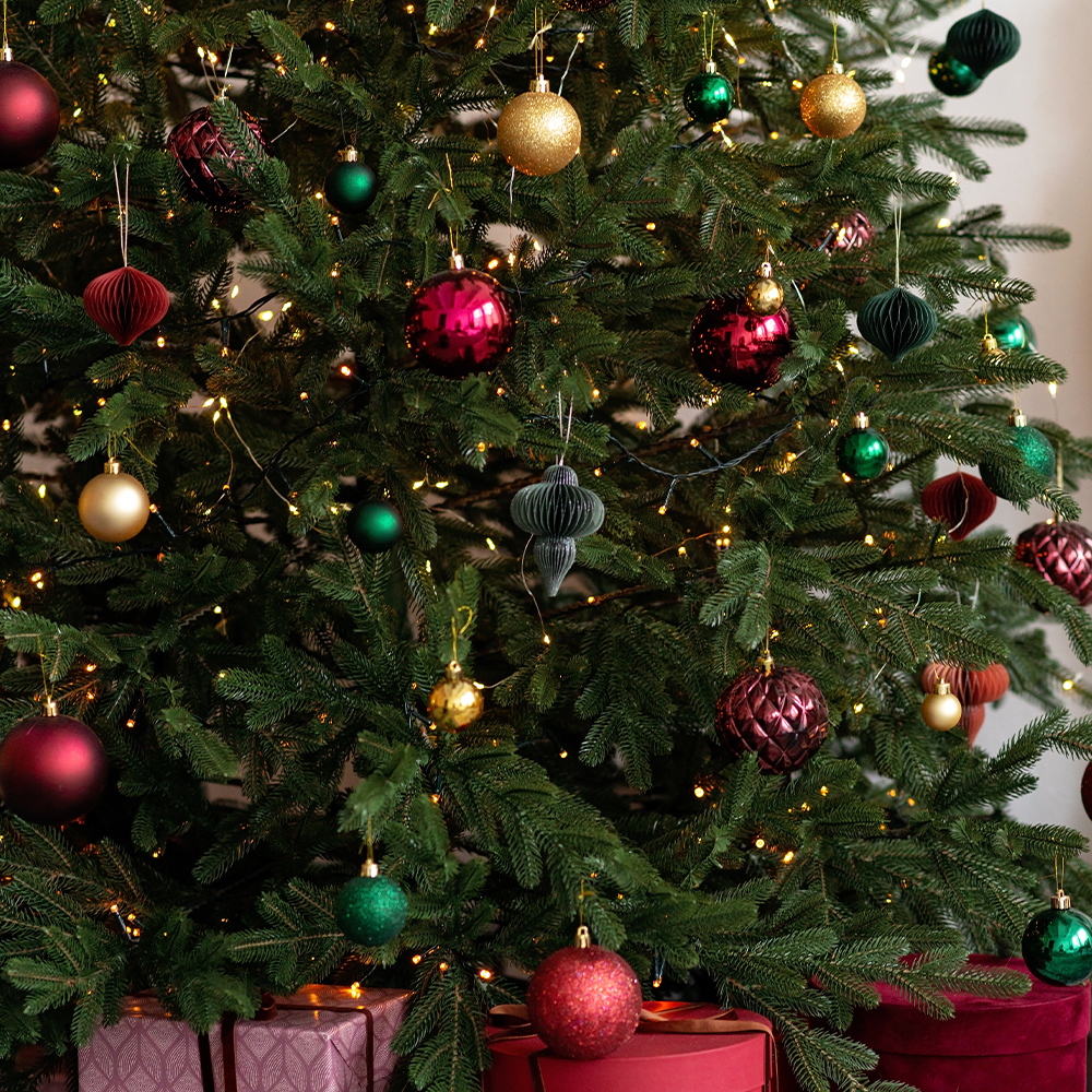 Featured Image: Create a Beautiful Tree in 6 Easy Steps