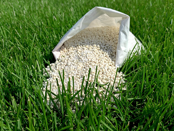 Img Fertilizer Products