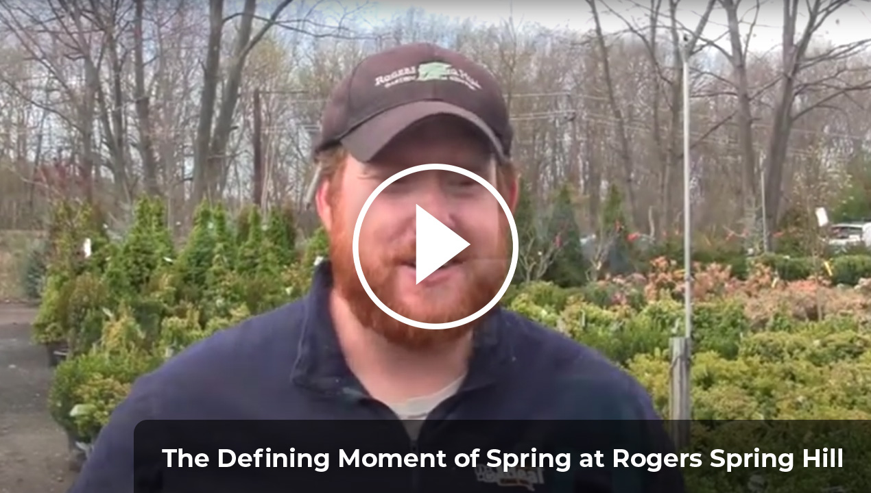 Defining Moment of Spring