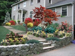 Front Lawn After