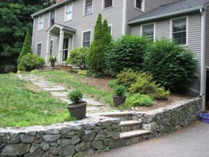 Front Lawn Before