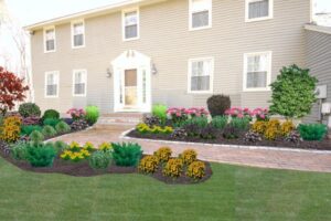 Front Lawn After