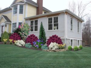Side Yard, After