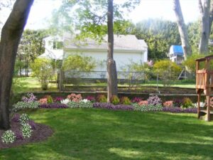 Left Side Yard, After