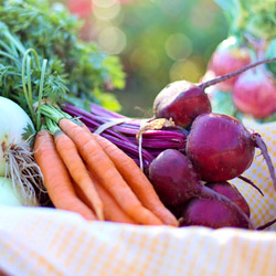 Featured Image: Shade-Tolerant Vegetables
