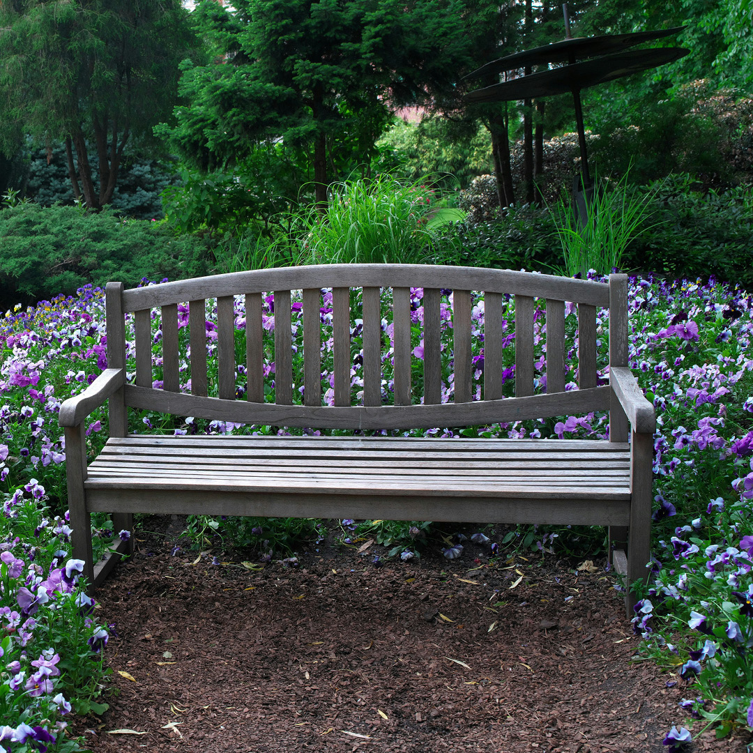 Featured Image: The Power of Mulching for Gardens and Yards